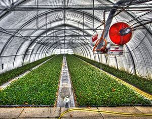 Farm Tech Revolution: How Innovation is Shaping Agriculture in Peacham