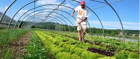 Sustainable Farming Practices in Vermont: Growing Green in Peacham